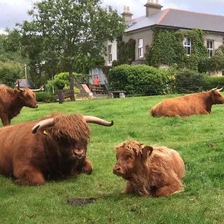 Glendine Wexford Bed & Breakfast