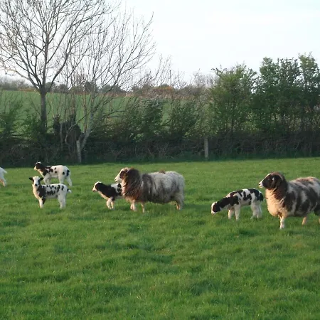 Glendine Wexford Arthurstown