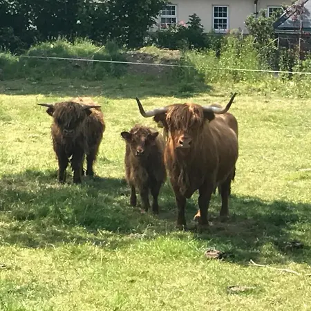 Glendine Wexford Arthurstown