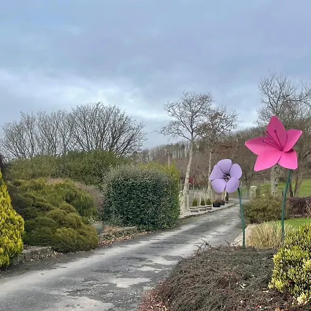 Bed & Breakfast Glendine Wexford