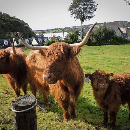 Frühstückspension Glendine Wexford Arthurstown