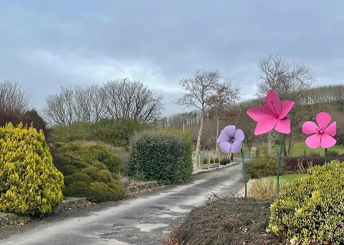 Bed & Breakfast Glendine Wexford