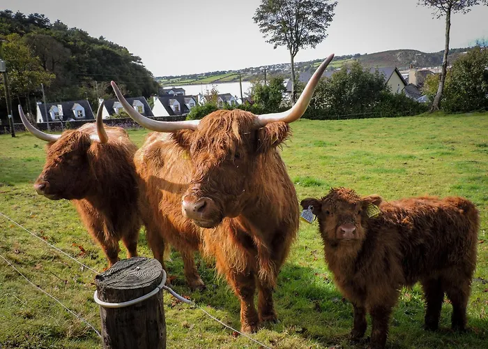 Frühstückspension Glendine Wexford Arthurstown